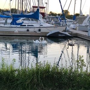 Meet your Posher, Carlene